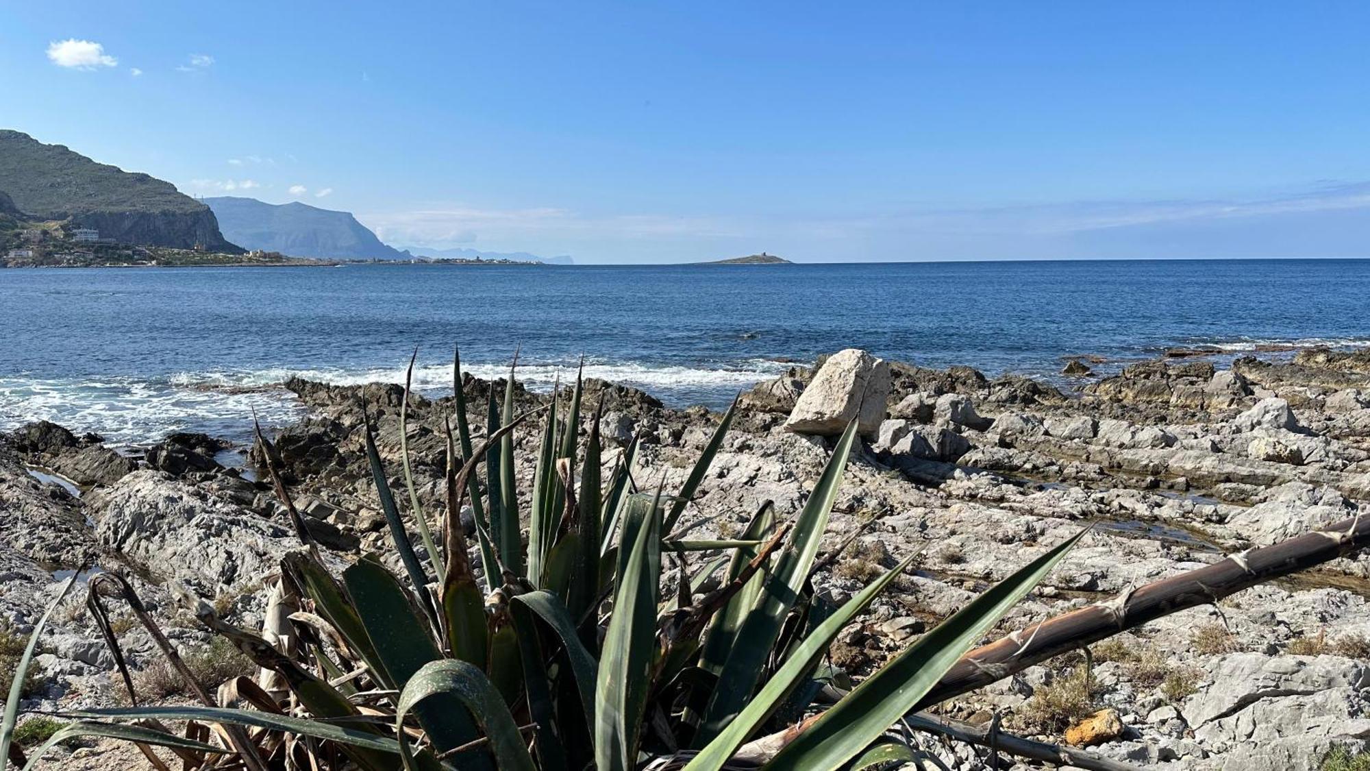 Appartamento Casa Punta Barcarello, Sferracavallo Fronte Mare E Tramonti Da Sogno, A Due Passi Dalla Splendida Di Mondello Palermo